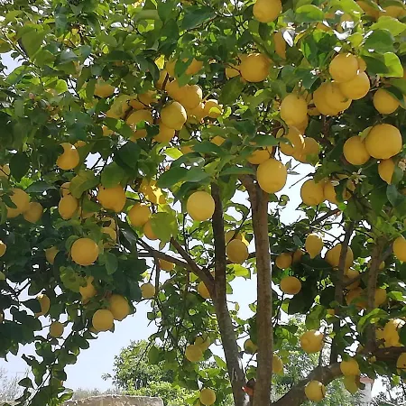 Binario 9 E 3/4 Agropoli