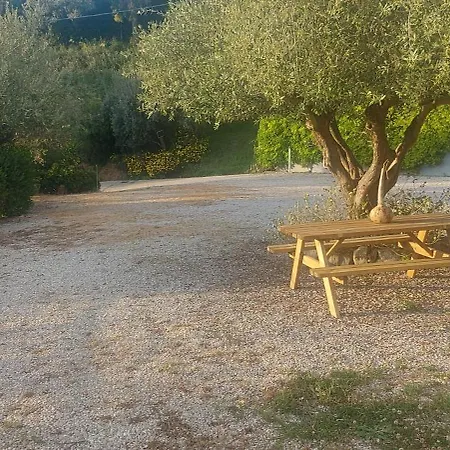 Binario Nove E Tre Quarti