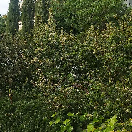 Binario Nove E Tre Quarti 2* Agropoli