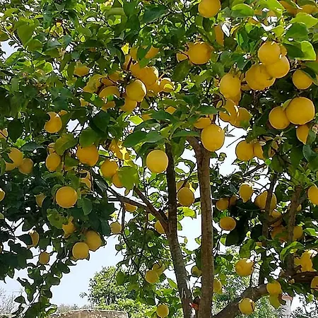 Binario Nove E Tre Quarti 2* Agropoli