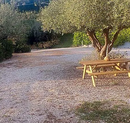 Binario Nove E Tre Quarti